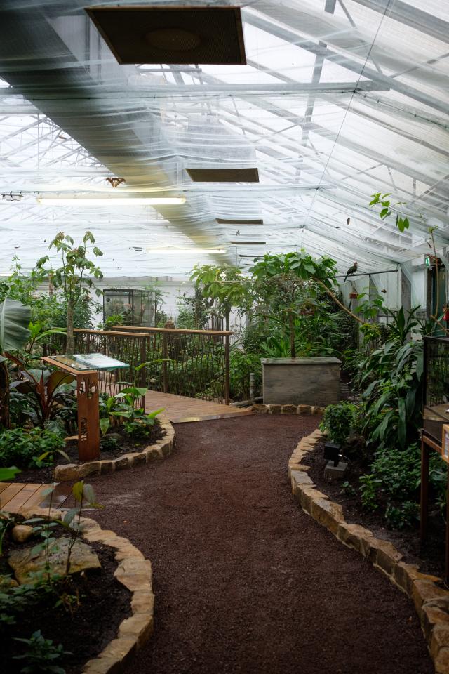 Intérieur de la serre au Jardins des Papillons