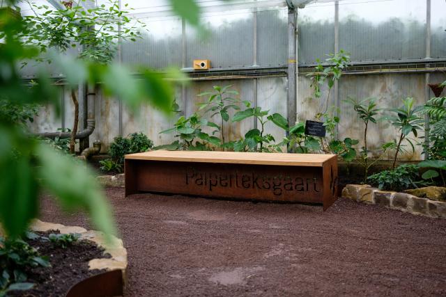 Intérieur de la serre au Jardins des Papillons