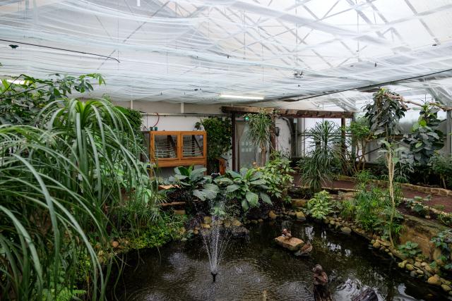 Intérieur de la serre au Jardins des Papillons