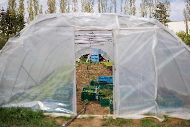 photo d'une serre à l'extérieur