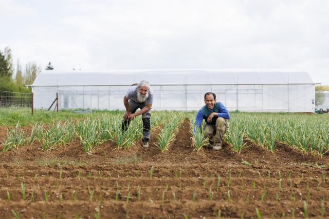 Deux hommes sur un champs devant une serre