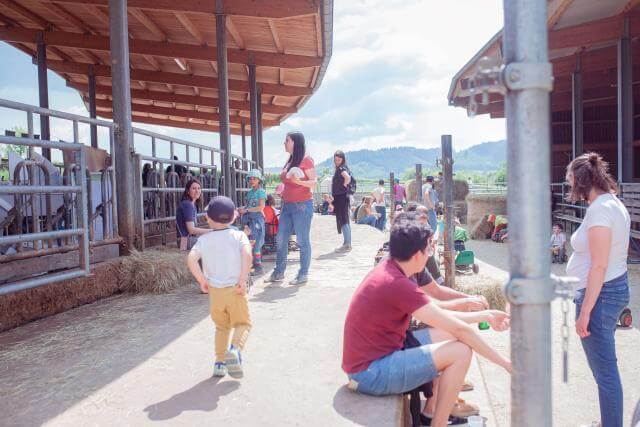 Le Kass-Haff rempli de visiteurs lors d'une fête